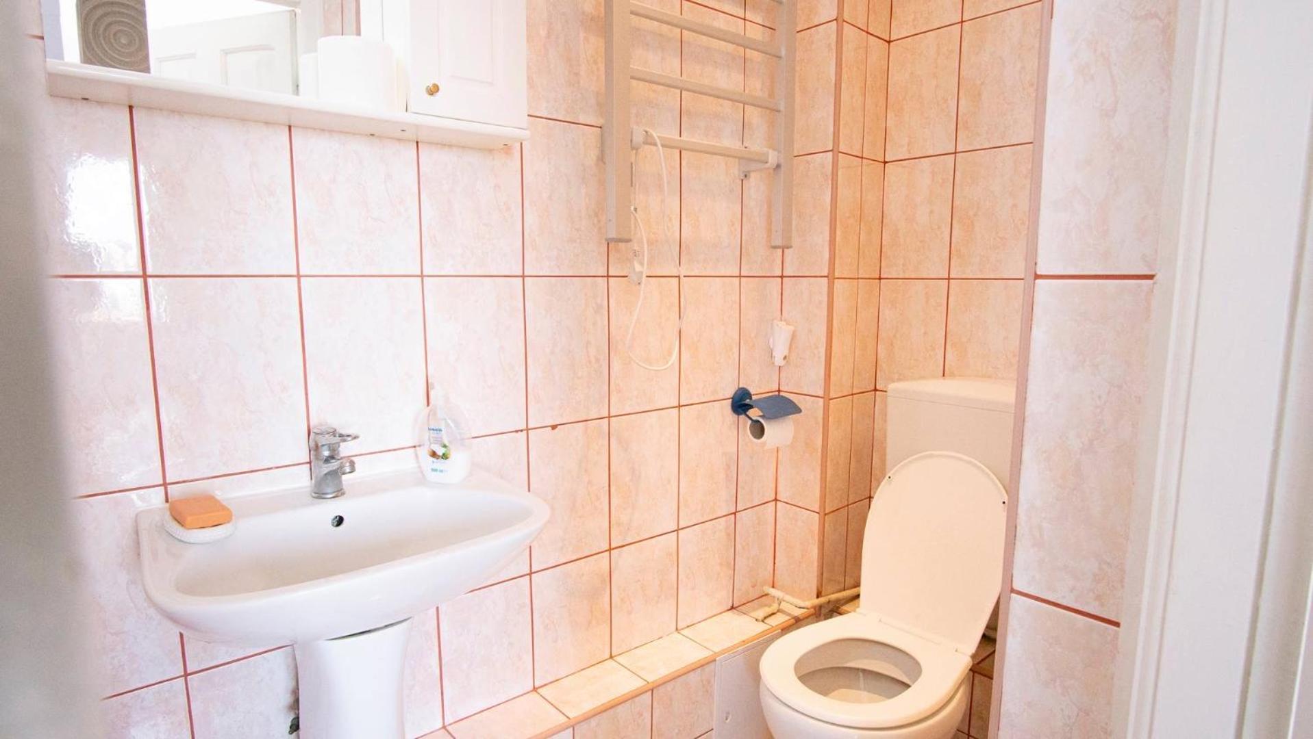 Piata Victoriei- 1 Room Apartment Timisoara Exterior photo