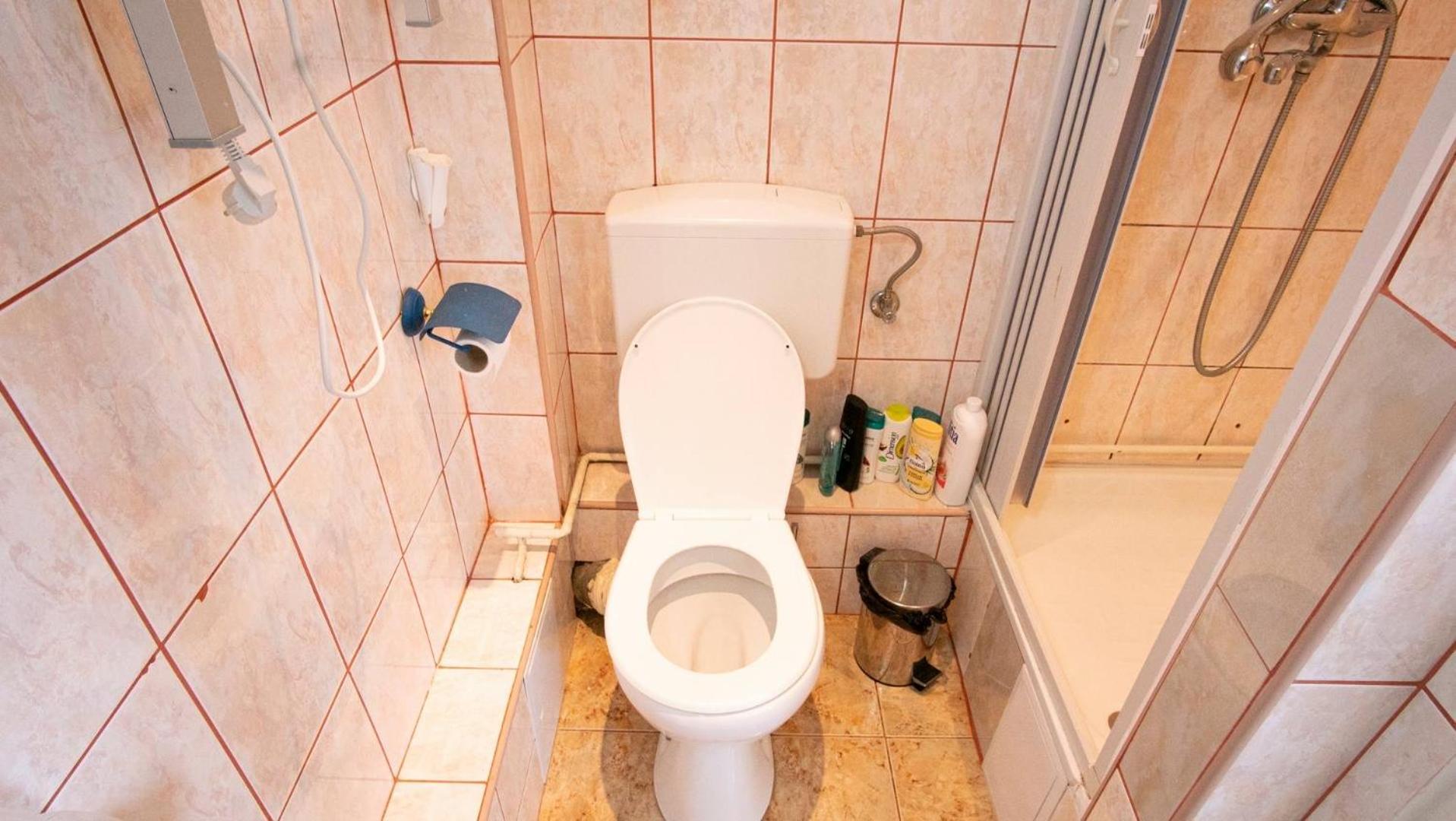 Piata Victoriei- 1 Room Apartment Timisoara Exterior photo