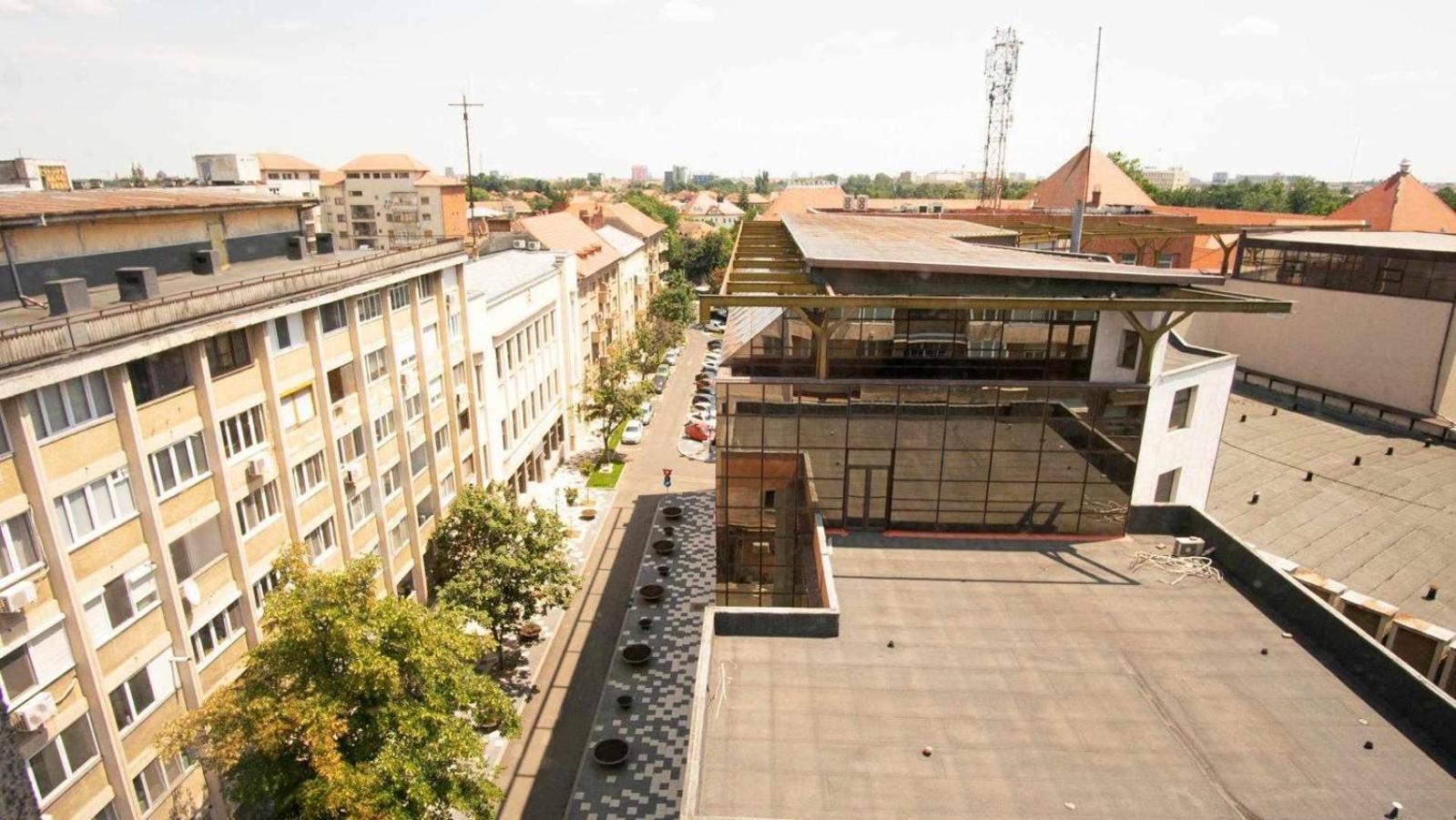 Piata Victoriei- 1 Room Apartment Timisoara Exterior photo